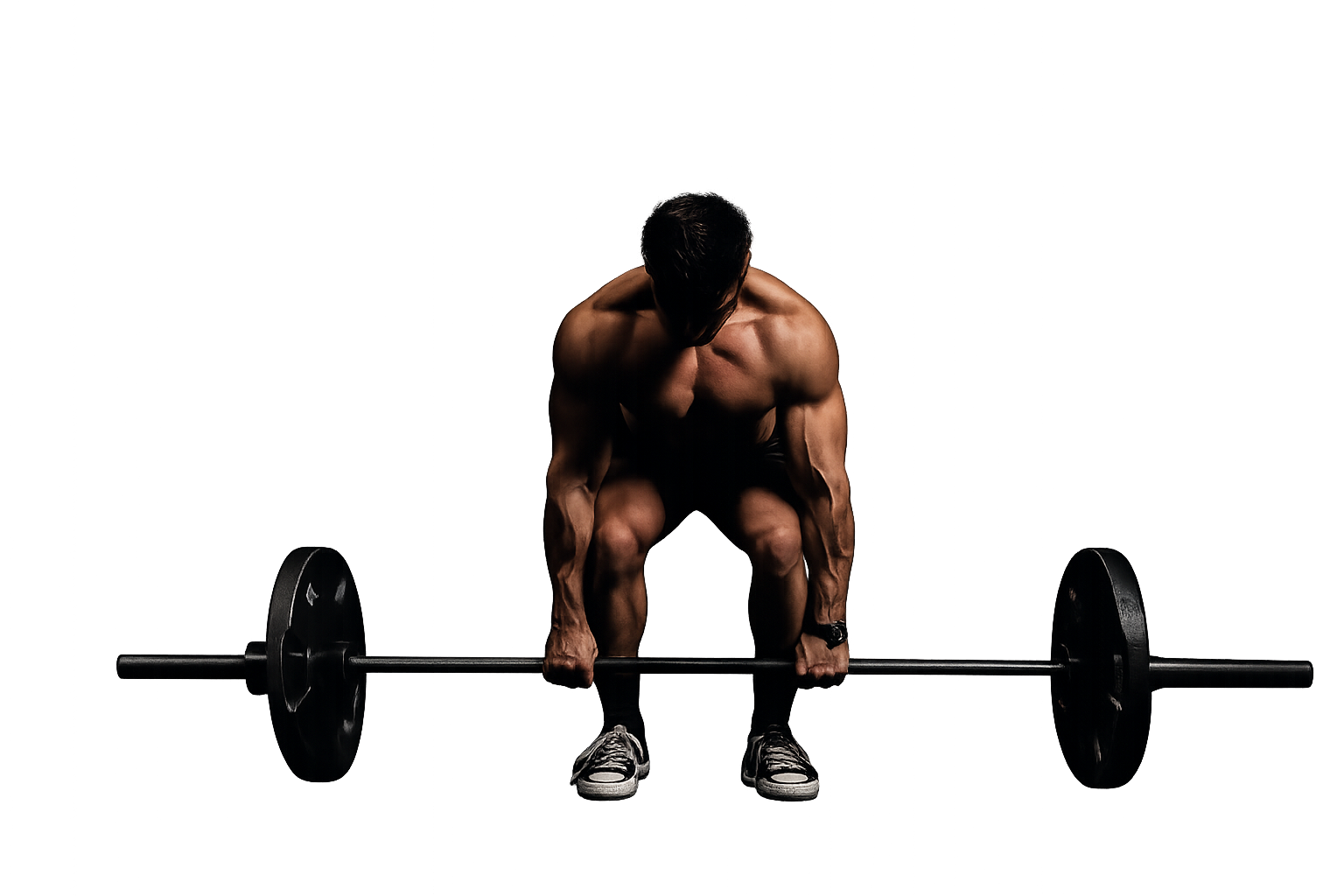 Fitness Model Color Highlight