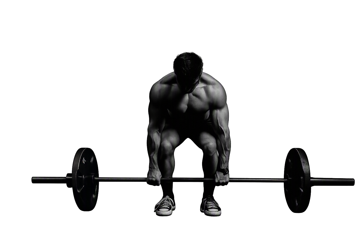 Fitness Model